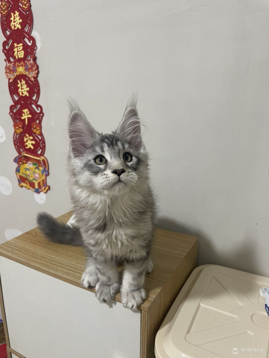20260428131653front1_0_1304396_FrCfoWuBrbEA6zqBhcohNCojjC52.jpg