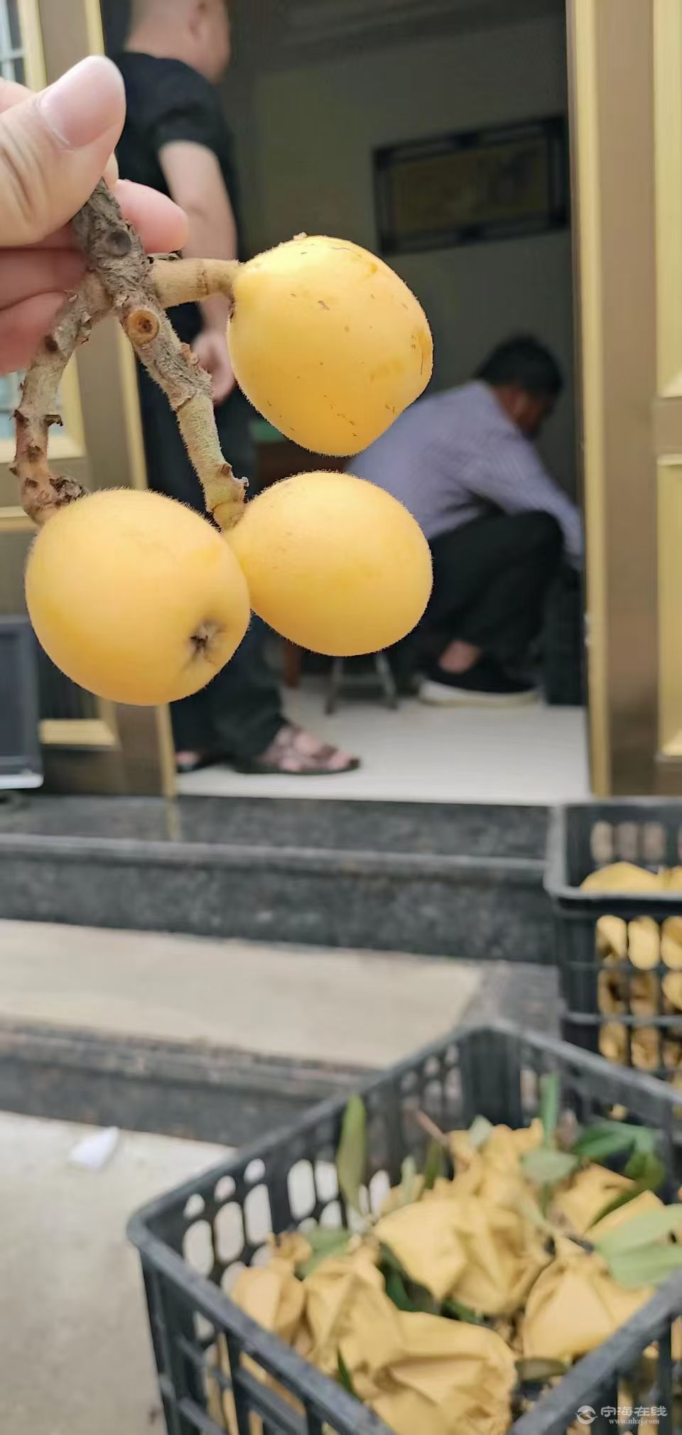 ΢��ͼƬ_20260521144106.jpg