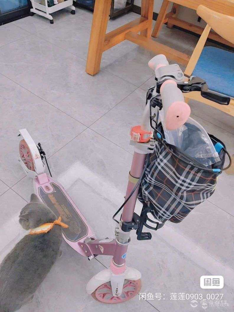 20260523122150front2_0_1255545_FglA0KICDdUaJeLL4uthRLa5ae1o.jpg