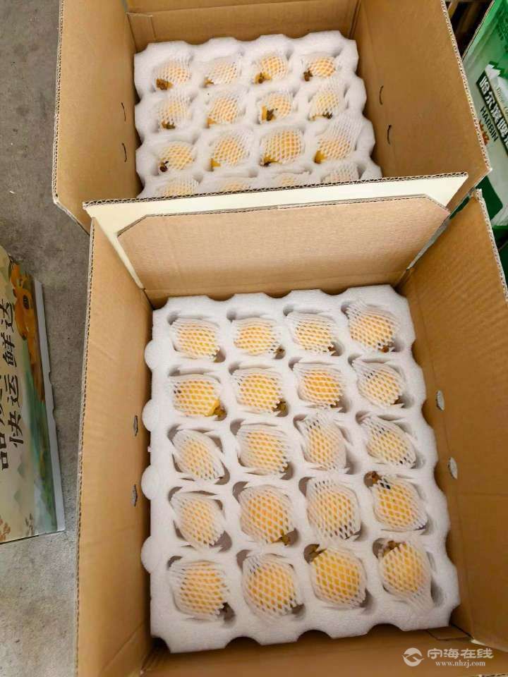 20260529114157front2_0_1271073_FiXufD9eQ56qDr8ziLem_DNx-QjP.jpg