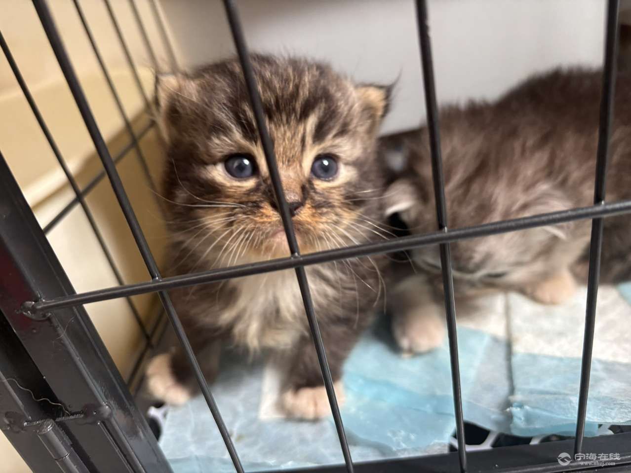 20260603194643front2_0_1252318_FnNJNah9It15L67iN62eNOvZ4JIp.jpg