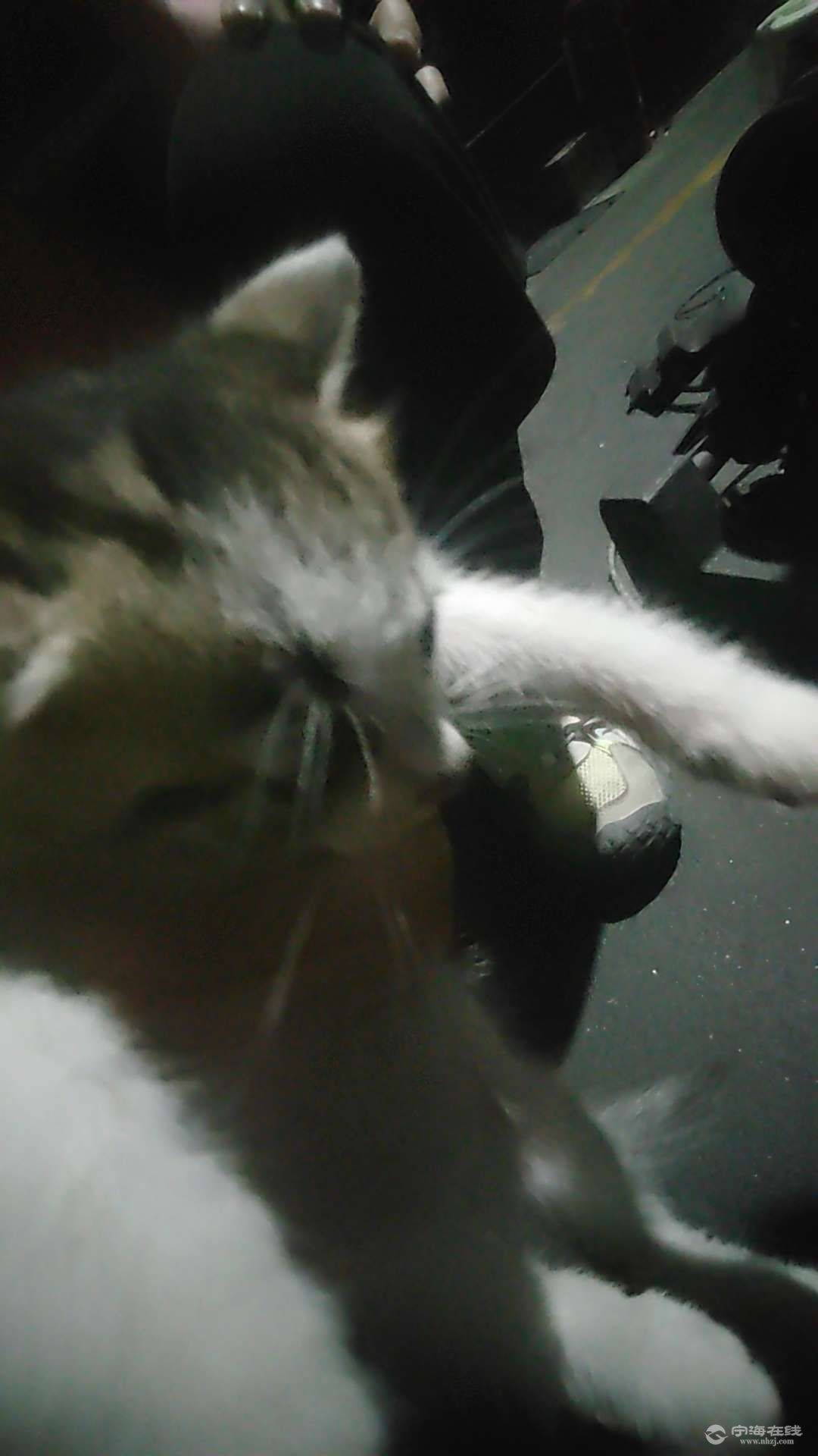 20260603202422front2_0_1289933_FnojwHJslUmbtKq0FA1RKEp8DaLA.jpg