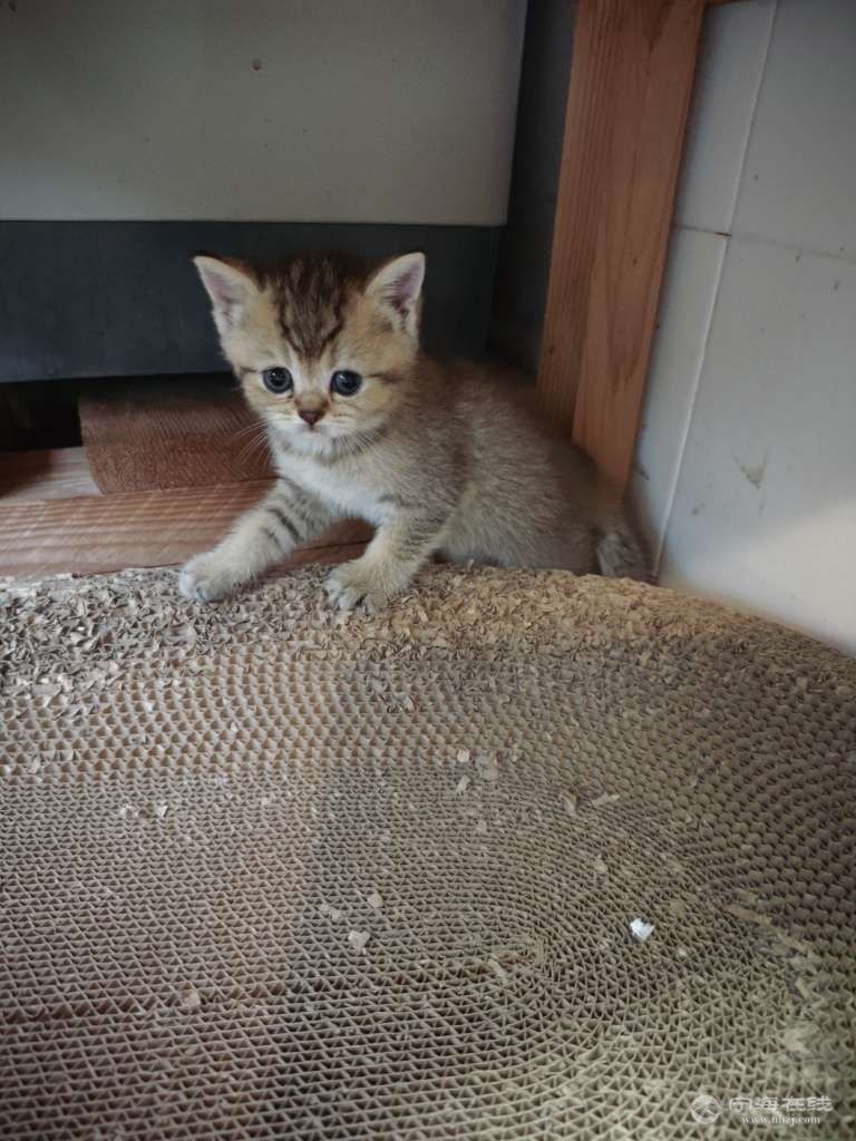 20260627100047front2_0_643856_Fo_GwPmLTwfEf0iqB3tl5g7tI5aF.jpg