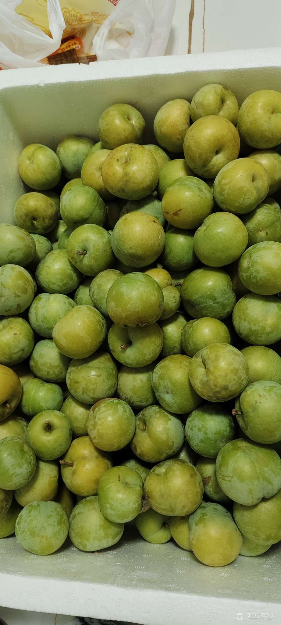 20260702173112front2_0_1289314_Fg0QUkmuIIWZOoexO8f5jVfN1wte.jpg