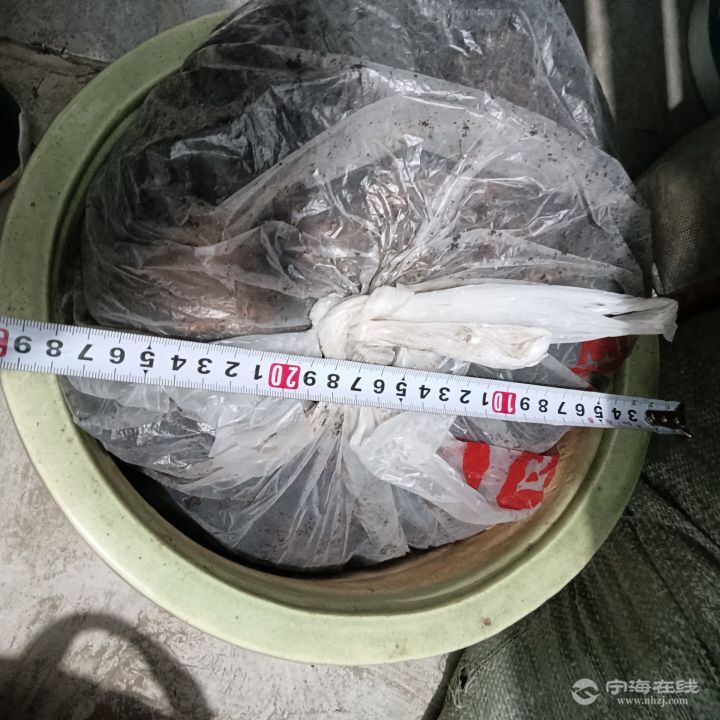 20260704080931front2_0_1254058_FmJ2z71TW7dy_ZJK2zFIHVNB5cCO.jpg