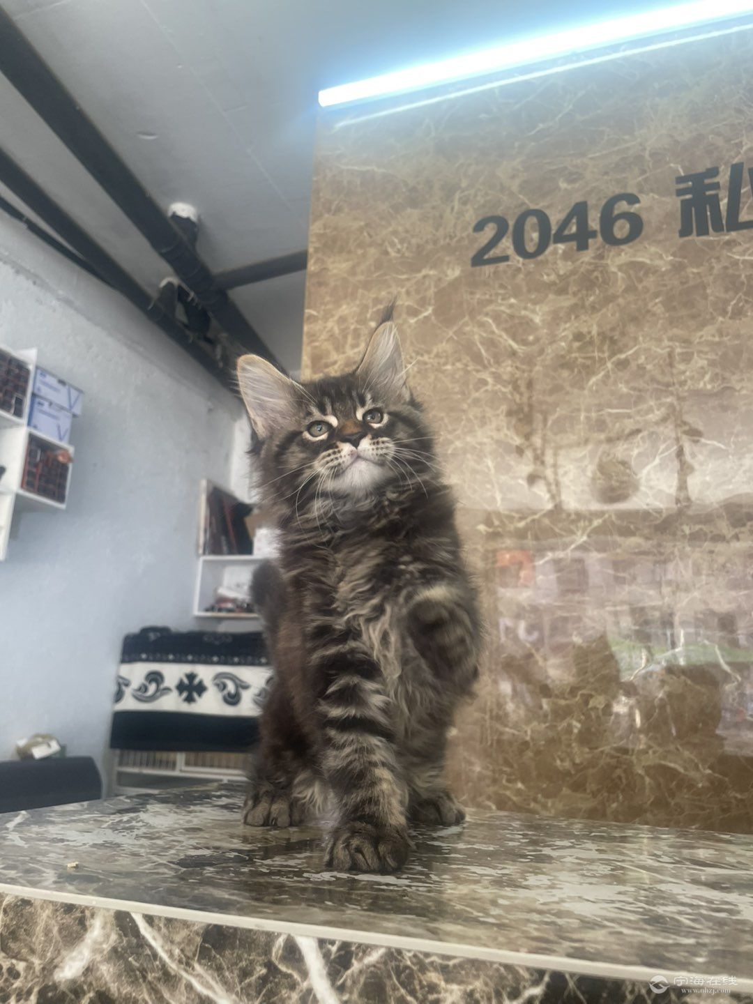 20260711121131front1_0_1304396_FqDa-luy2QxSzwBE8Tfu7olQEce6.jpg