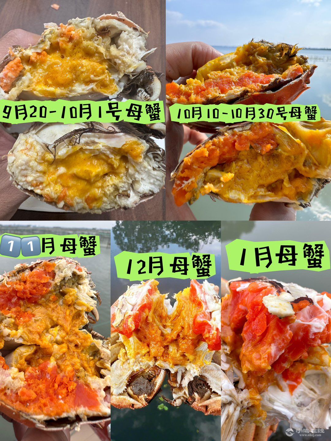 20260811103921front1_0_1304187_Fh2ZGrjFpjQIN3qXJmVoGCkALi9S.jpg