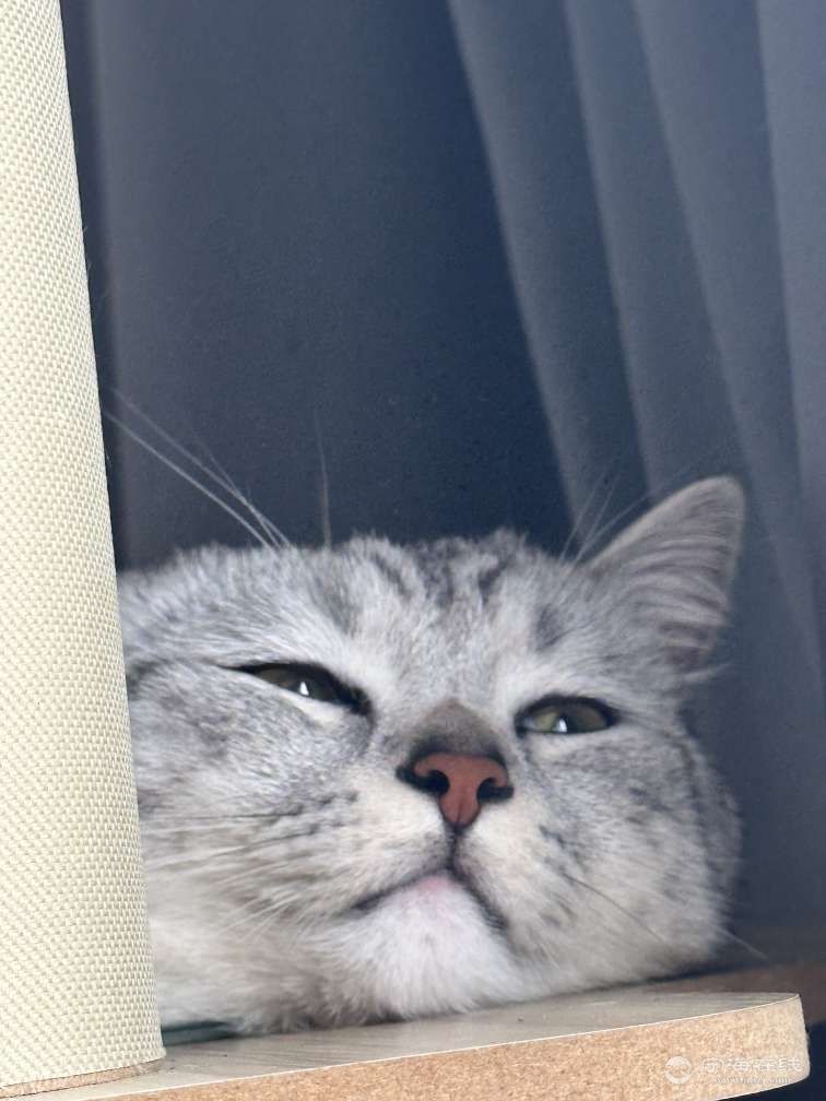 20260812151139front2_0_1215421_Fiv8vBvzu_EjH8KgZFM5ZTKEoyg0.jpg