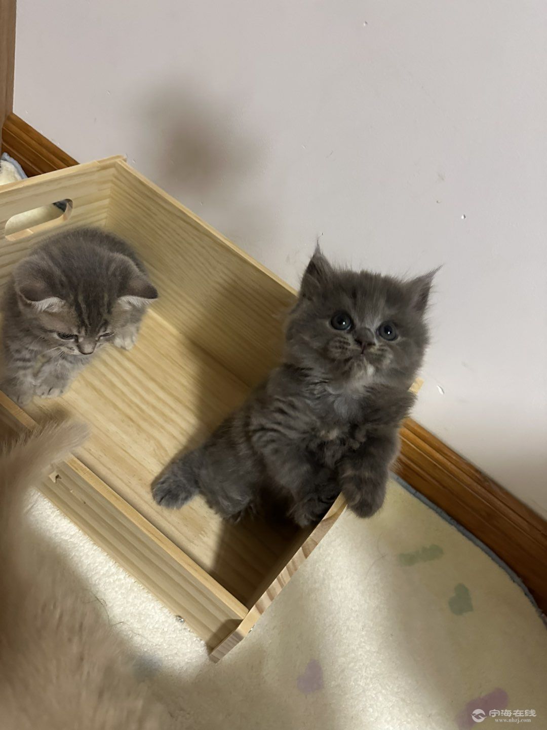 20260911085142front1_0_423510_FosYQ0JkBjG-E8h6AnHpaw3nT45E.jpg