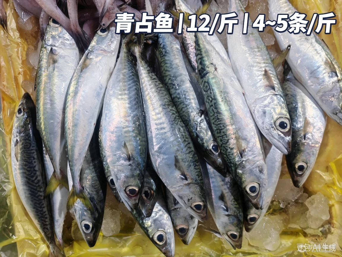 20261011063911front2_0_1270775_FkHPZBbzxeRYGHMxDY9Gcee3VeOu.png