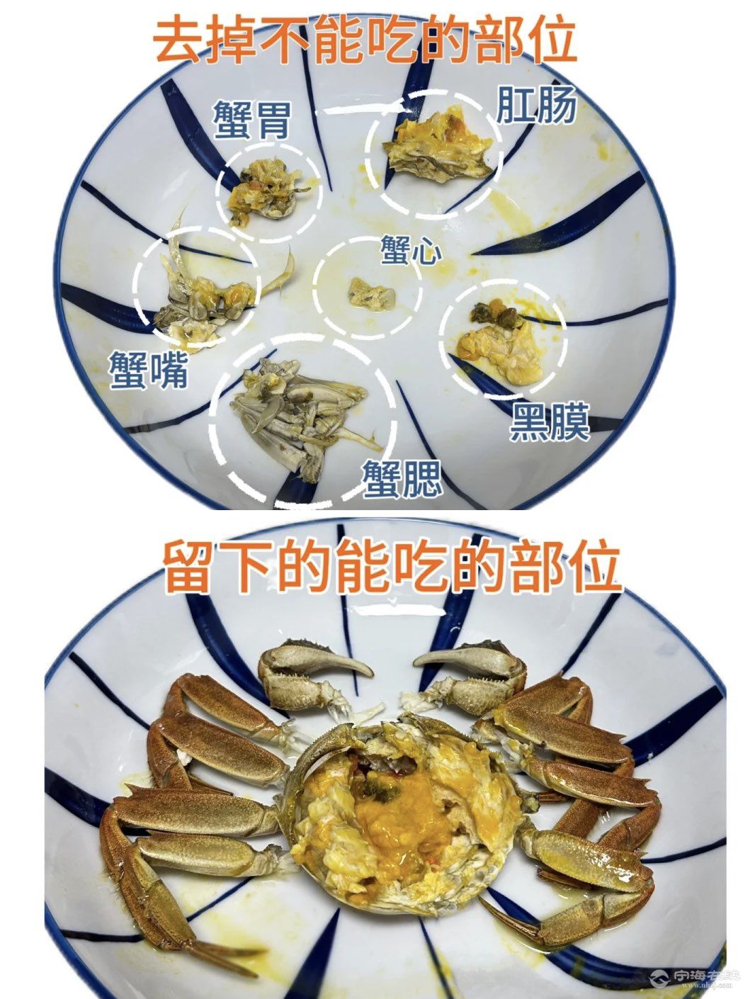 20261011144150front1_0_1304187_Fj1D-4nG_WUXsHu67WLzO0UapqKI.jpg