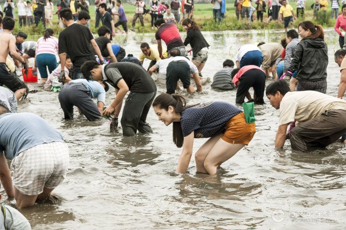 周末徒手抓鱼节目,抓到红鱼奖金5000元有人参加吗