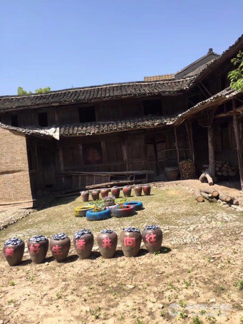 梅花村的故事~ - 宁海动态 - 宁海在线 - 宁海门户