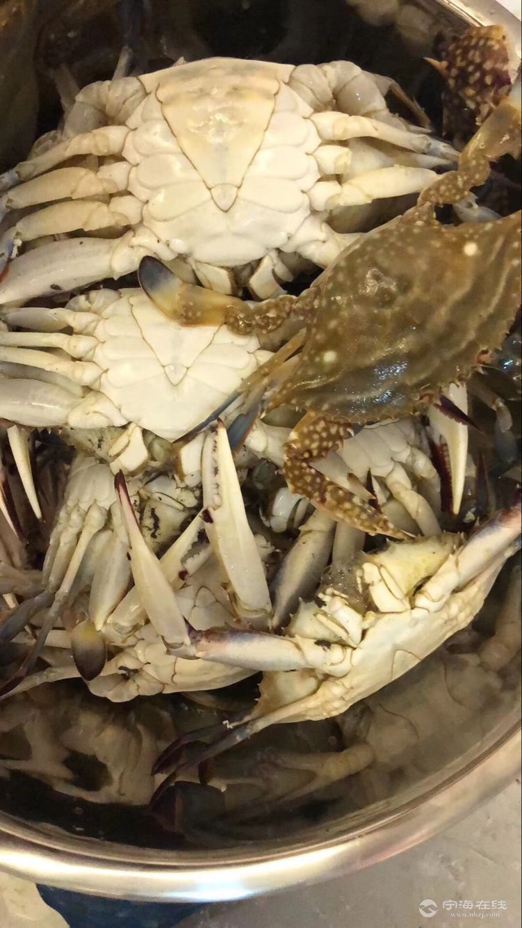 龙海市场白蟹今天多少一斤了肥吗多吗