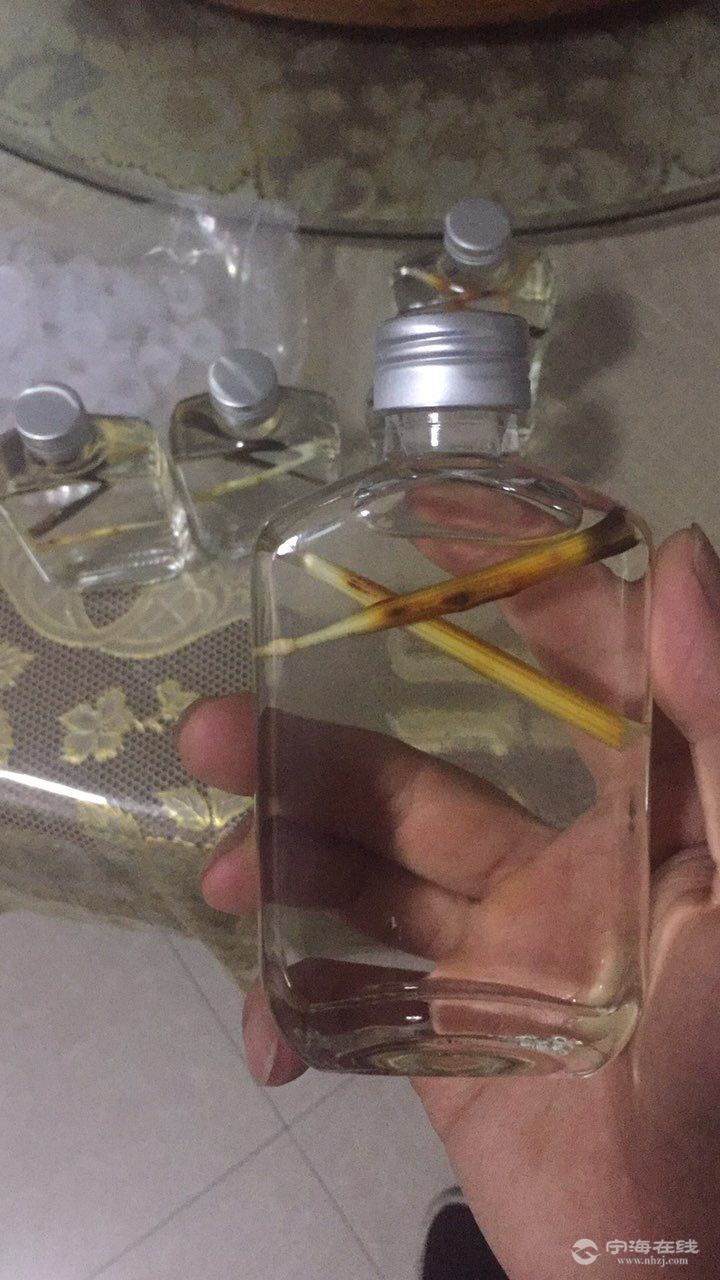 豪猪刺酒