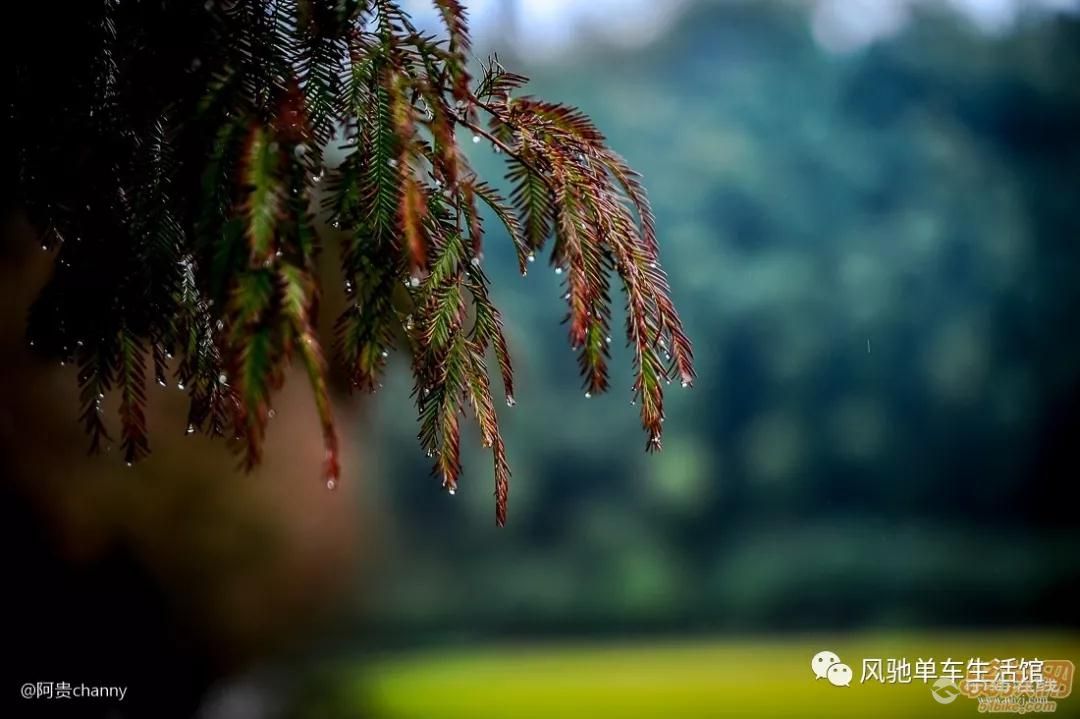 霧靄濛濛的象山,別有一番滋味,雨戰環象.