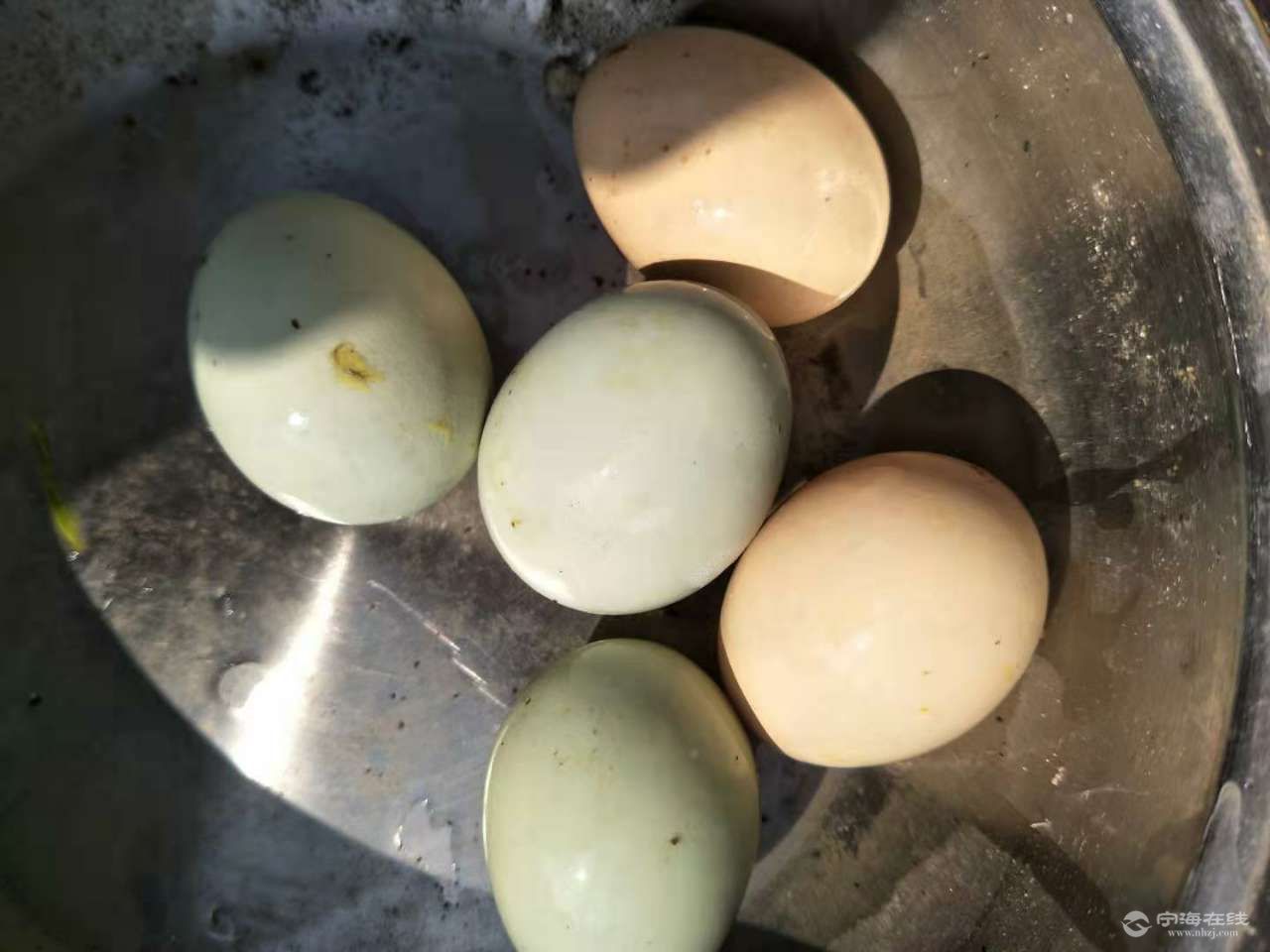 绿壳蛋,土鸡蛋