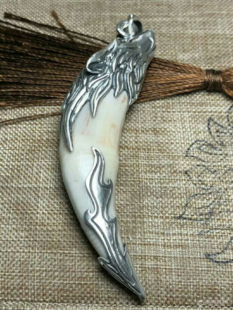 出几十颗狼牙正宗西伯利亚大狼牙十足的好货懂行的来