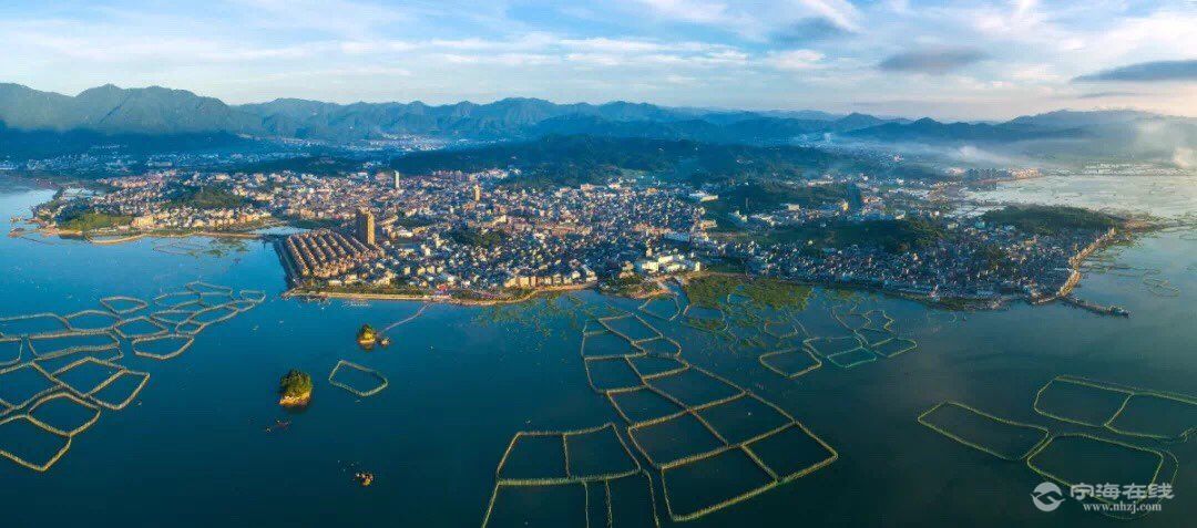 爱上宁海水环境,这些小精灵在西店安家了!