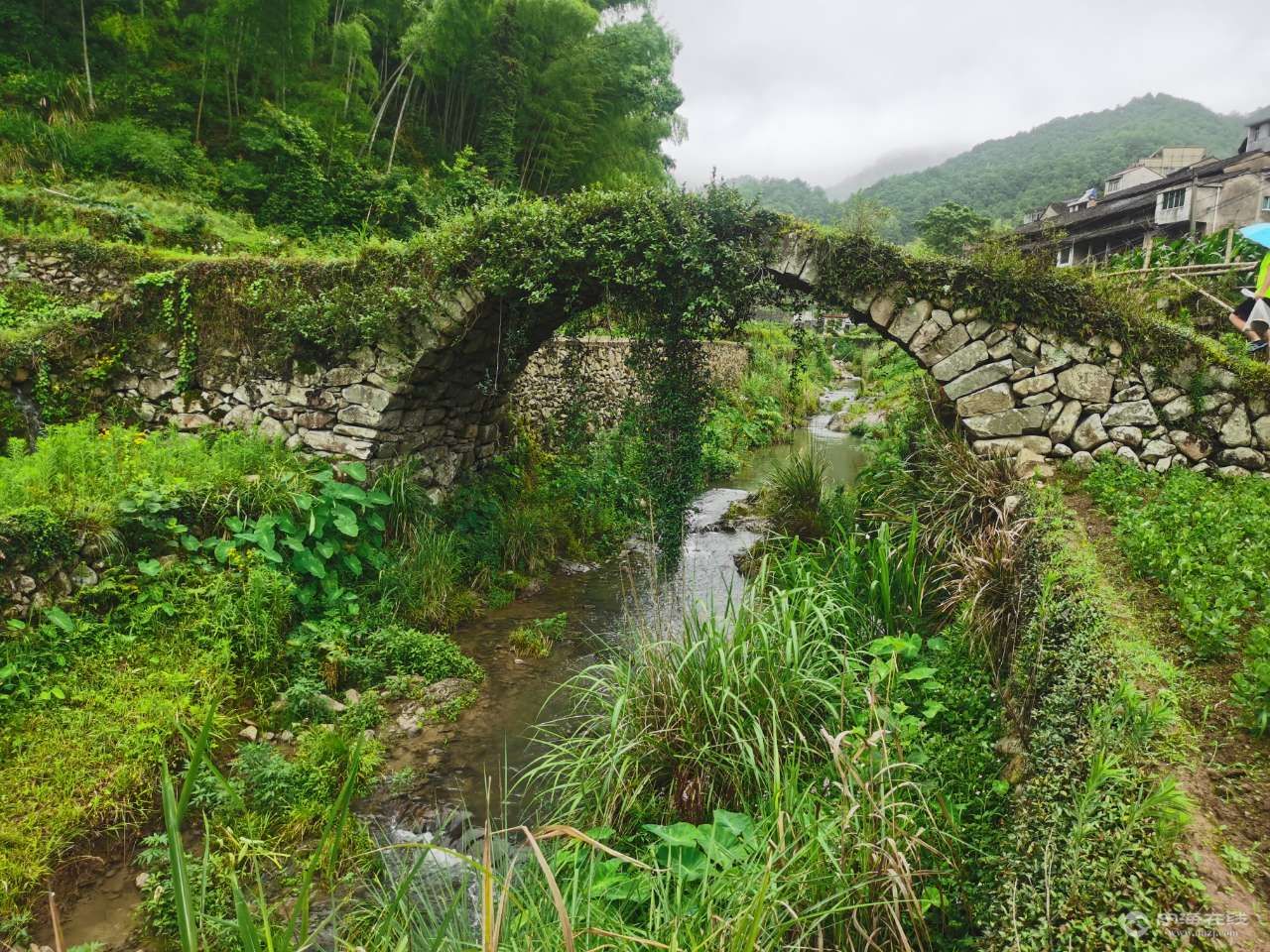 每日一桥万春桥