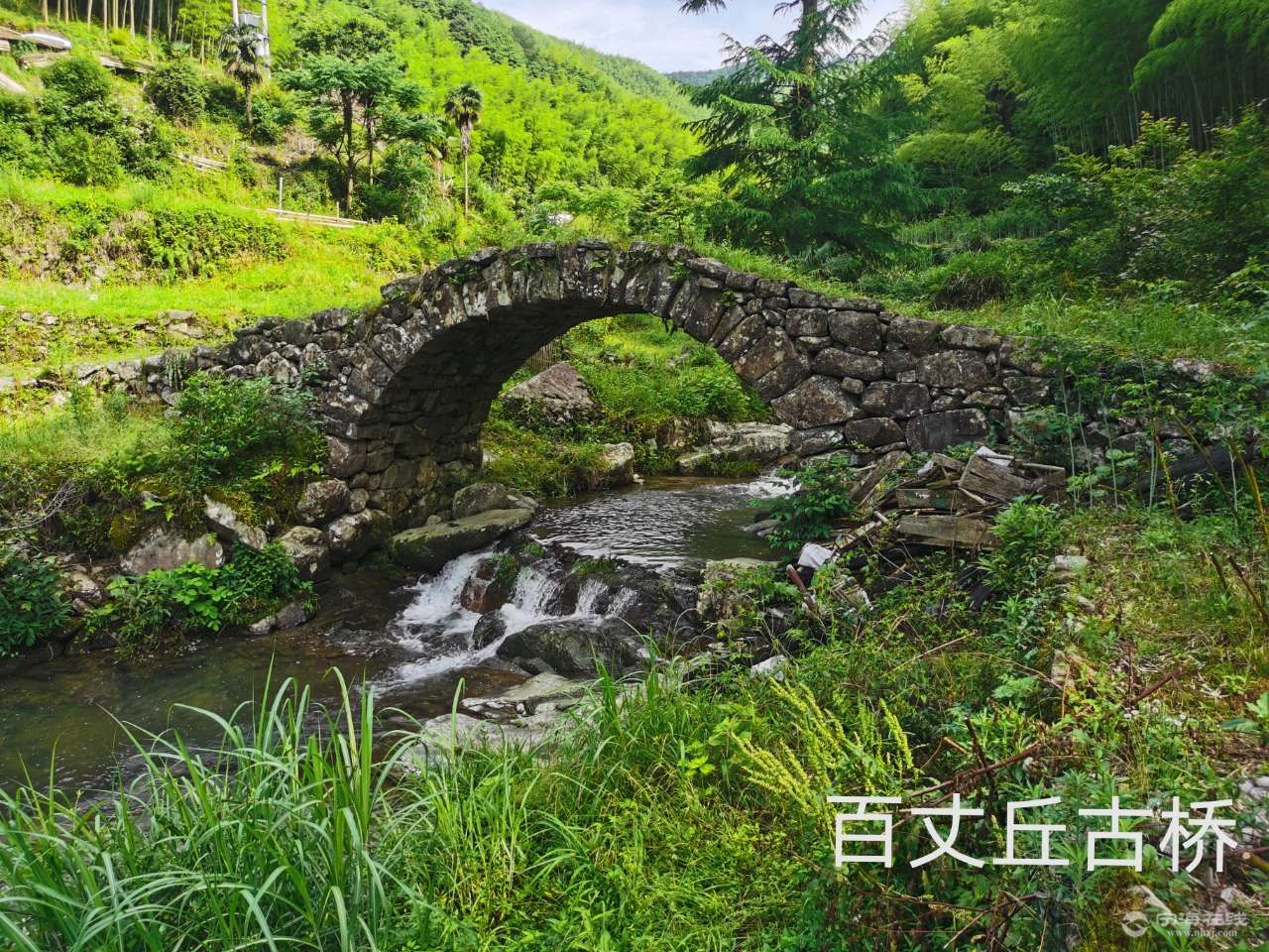 每日一桥百丈丘古桥