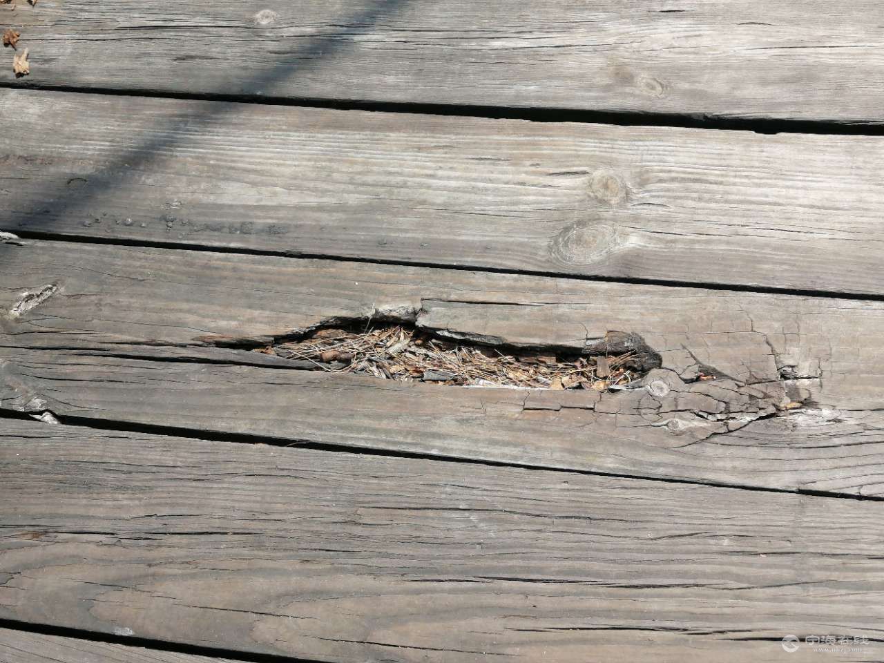 白溪水库的这桥天桥木板腐烂了十分危险应该封住为妥以免出人命